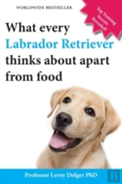 Bertrand.pt - What Every Labrador Retriever Thinks Abo