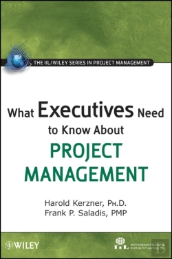 Bertrand.pt - What Executives Need To Know About Project Management