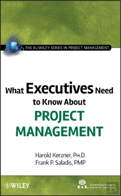 Bertrand.pt - What Executives Need To Know About Project Management