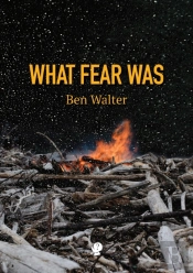 What Fear Was