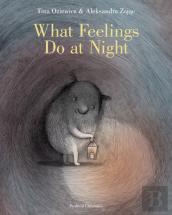 What Feelings Do At Night