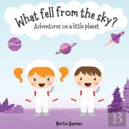 What Fell From The Sky?