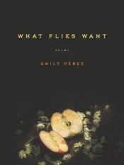 What Flies Want