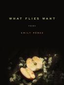 What Flies Want