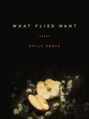 What Flies Want
