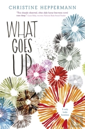 What Goes Up