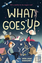 What Goes Up
