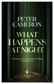What Happens At Night