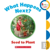 What Happens Next? Seed To Plant (Rookie Toddler)