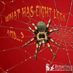 Bertrand.pt - What Has Eight Legs And... ?