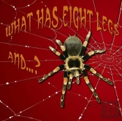What Has Eight Legs And...?