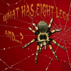 Bertrand.pt - What Has Eight Legs And...?