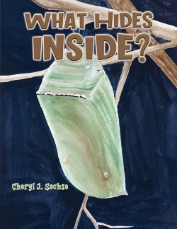 Bertrand.pt - What Hides Inside?