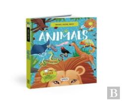 What, How, Why. Animals
