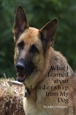 Bertrand.pt - What I Learned About Leadership From My Dog