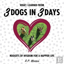 Bertrand.pt - What I Learned From 3 Dogs In 3 Days