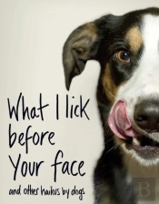 What I Lick Before Your Face