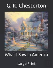 What I Saw In America