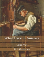 What I Saw In America