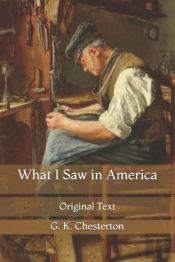 What I Saw In America
