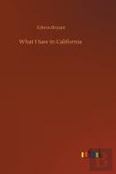 What I Saw In California