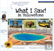 What I Saw In Yellowstone