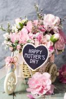 What I Want To Know About Mom