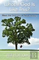 What If God Is Like This?