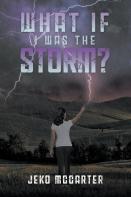 What If I Was The Storm?