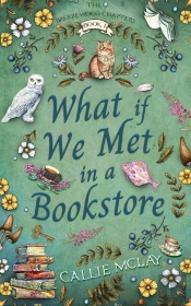 What If We Met In A Bookstore