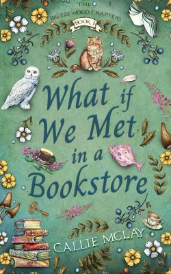 Bertrand.pt - What If We Met In A Bookstore