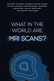 What In The World Are Mri Scans?