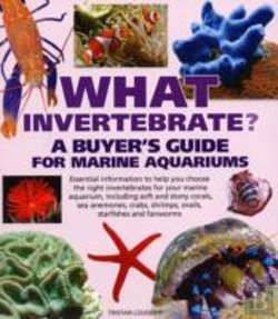 Bertrand.pt - What Invertebrate?