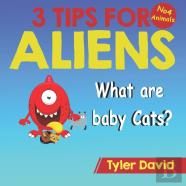 What Is A Baby Cat?