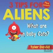 What Is A Baby Cat?
