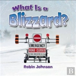 Bertrand.pt - What Is A Blizzard?