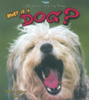 What Is A Dog