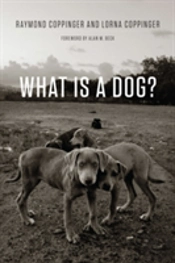 What Is A Dog?