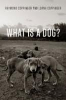 What Is A Dog?