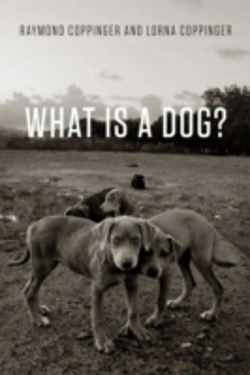 Bertrand.pt - What Is A Dog?