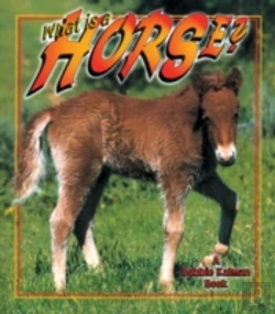 Bertrand.pt - What Is A Horse?