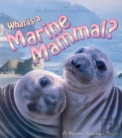 What Is A Marine Mammal