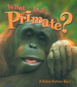 Bertrand.pt - What Is A Primate