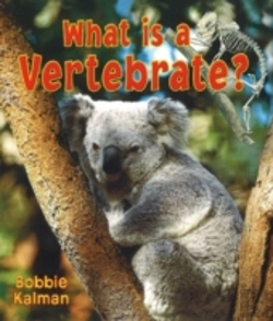 Bertrand.pt - What Is A Vertebrate