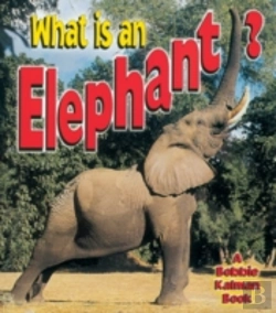Bertrand.pt - What Is An Elephant
