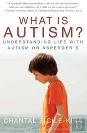 What Is Autism?