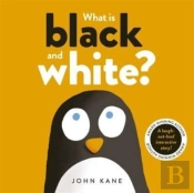 What Is Black And White?