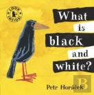 What Is Black And White?