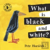 What Is Black And White?