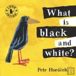 Bertrand.pt - What Is Black And White?